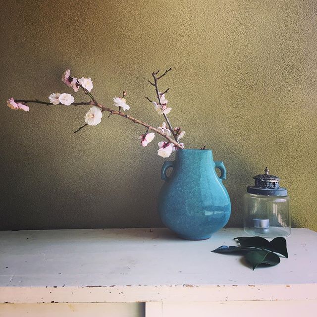 広い敷地に梅が2本。娘は梅の花が咲いたから、この家が少しすきになったらしい。初めて見たつくしのぼうやと、梅の花をえらく気に入った3歳の春。8歳児は、初めての花見を楽しみに、、いや、弁当を楽しみにしている。沖縄訛りが抜けない母さんは、9年越しの春の懐かしさと、沖縄に行く前の10数年間分の思い出したくないたくさんの春の思い出と、逃げ場のない現状と、潰れそうな季節。あー、子どもたちが20年後に、春の思い出が楽しいものだといいな。わたしにはその為に明日が来るんだな〜明日も動けるだけ動こう。#梅#庭仕事#古民家再生#春#いい香り